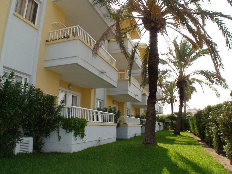 Palm Garden Lägenhet Port de Alcudia  Exteriör bild