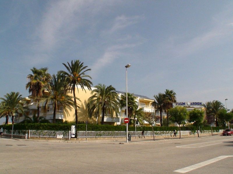 Palm Garden Lägenhet Port de Alcudia  Exteriör bild